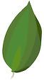 Feuille 8